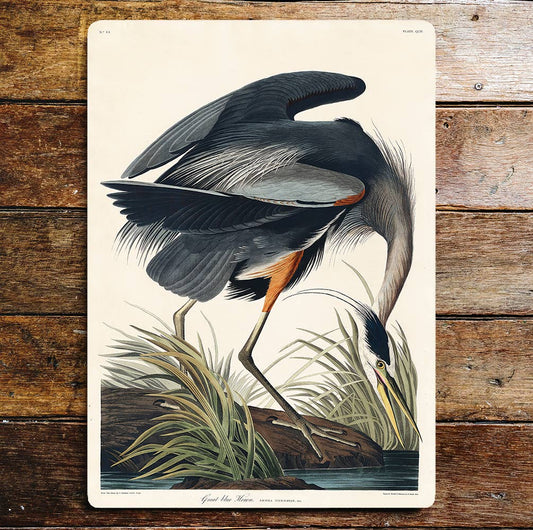 Great Blue Heron Fishing Pond Life | Metal Sign Plaque