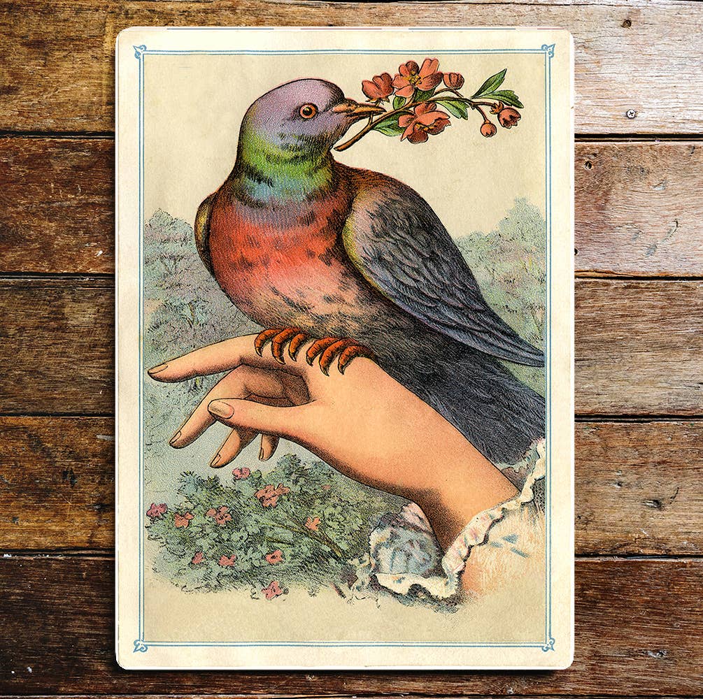 Colourful Pigeon On a Hand With Flowers | Metal Sign Plaque