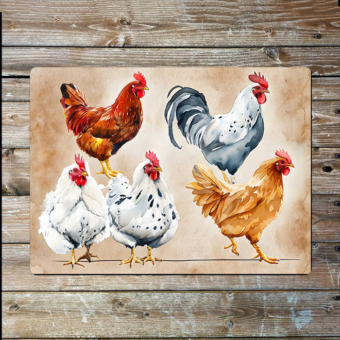 Five Chickens Watercolour Spring | Metal Sign Plaque