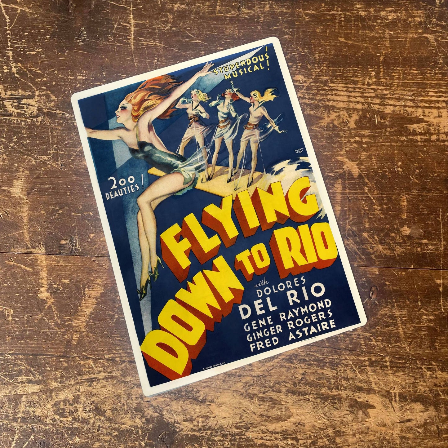 Flying Down To Rio Circus | Metal Travel Wall Sign