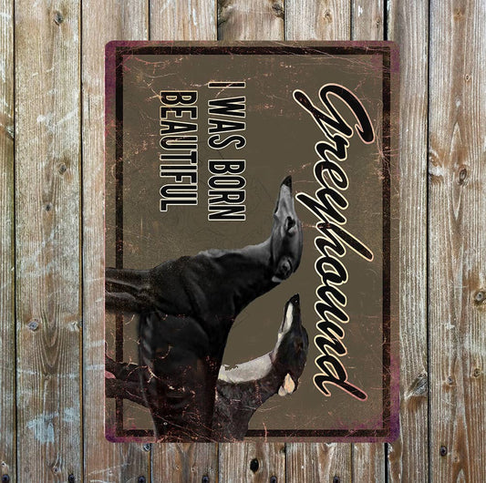 Greyhound I was born Beautiful | Metal Sign Plaque