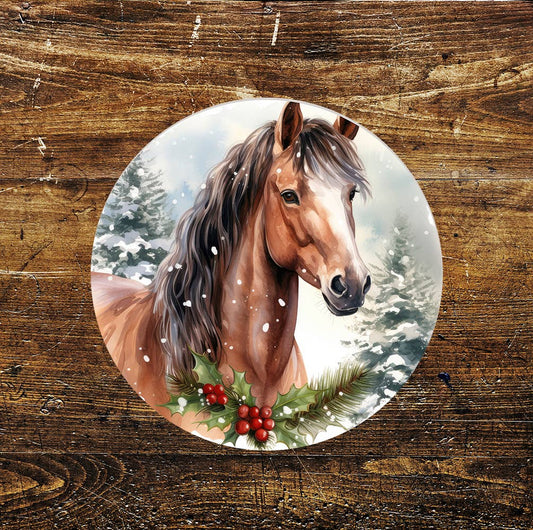 Seasonal Horse Pony Portrait Art Circle Metal Sign