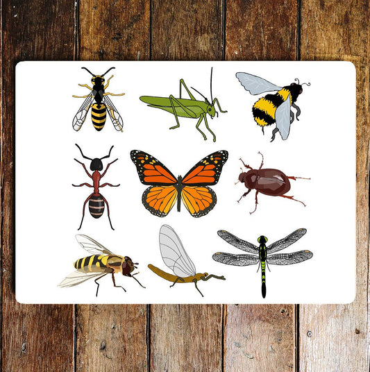 Insects Nature Educational Art | Metal Sign Plaque