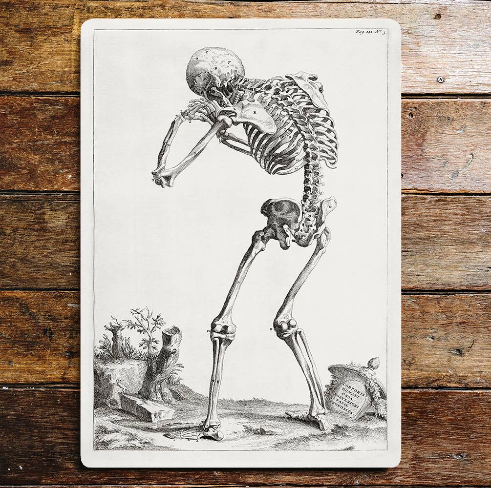 Skeleton Grave Metal Wall Sign Plaque