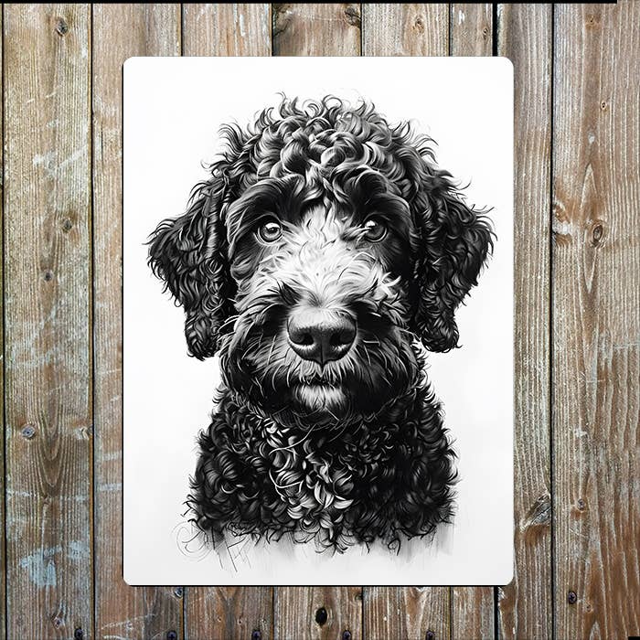 Black & White Labradoodle Dog | Metal Sign Plaque
