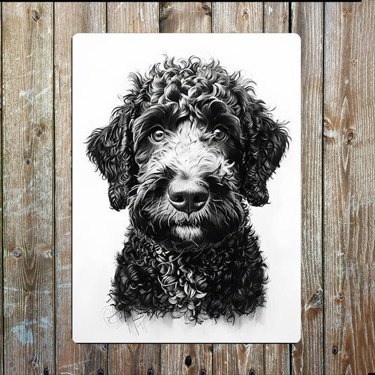 Black & White Labradoodle Dog | Metal Sign Plaque