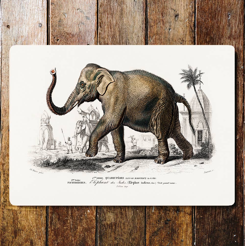 Elephant Indian wall art | Metal Sign Plaque