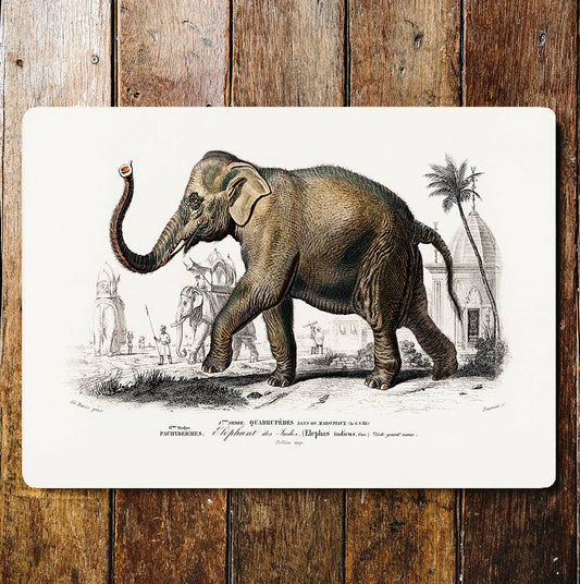 Elephant Indian wall art | Metal Sign Plaque