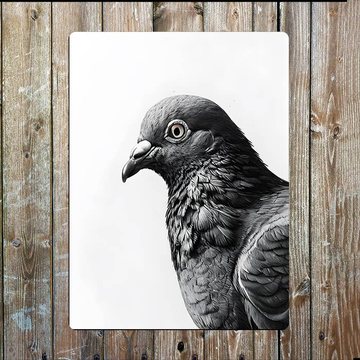 Black & White Pigeon's Head Bird | Metal Sign Plaque
