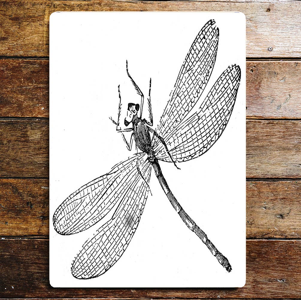 Dragon Fly | Metal Wall Sign Plaque