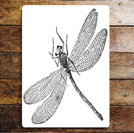 Dragon Fly | Metal Wall Sign Plaque