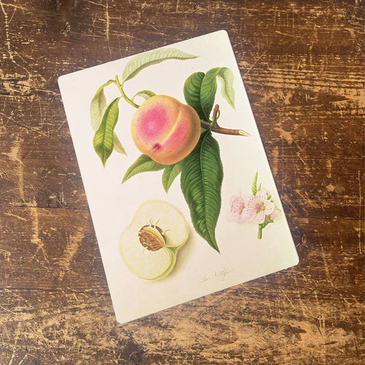 Fruit Noblesse Peach Botanical Flower | Metal Sign