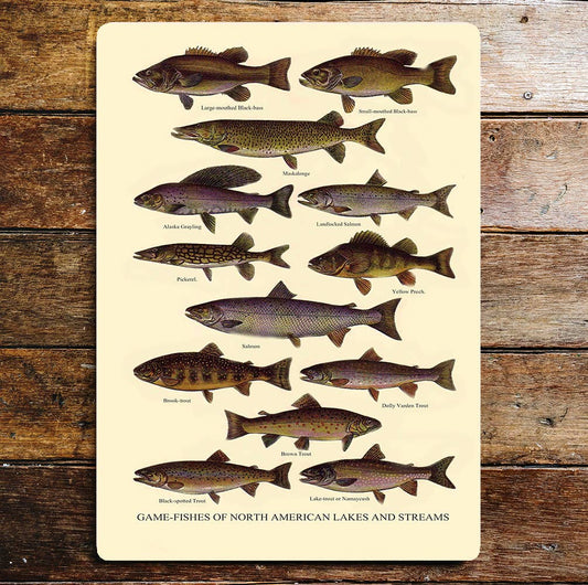 Game Fishes Of North American Lakes | Metal Wall Sign
