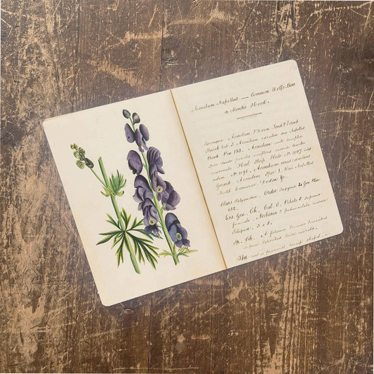 Lily Book Plant | Metal Wall Sign