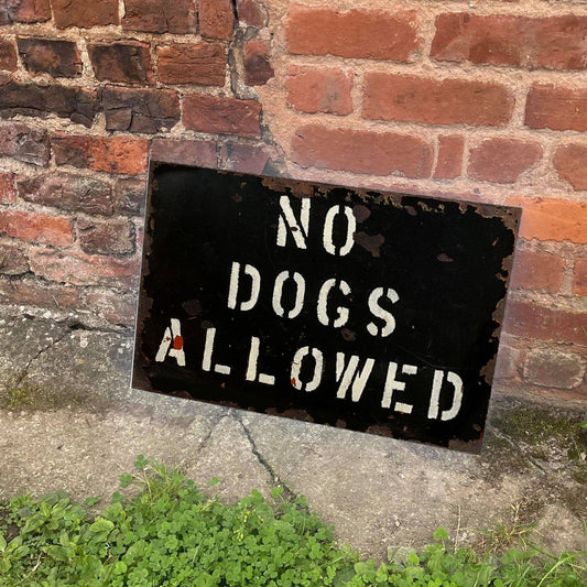 No Dogs Allowed | Metal Advertising Wall Sign