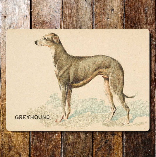 Greyhound
Dog breed vintage | Metal Sign Plaque
