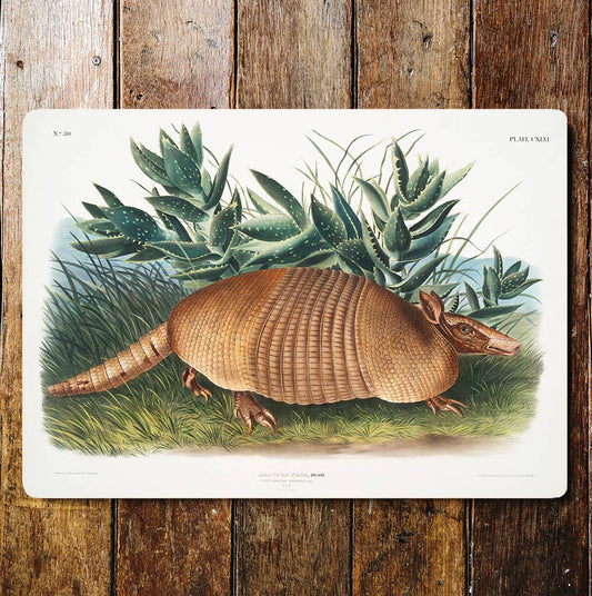 Armadillo Cactus Portrait | Metal Sign Plaque