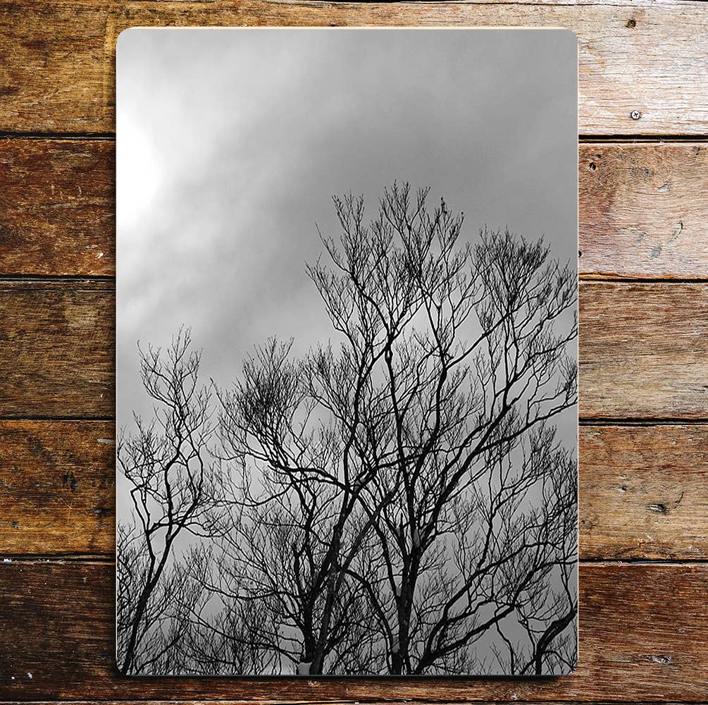 Stormy Grey Sky Tree Metal Wall Sign Plaque