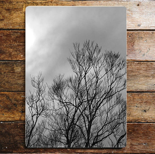 Stormy Grey Sky Tree Metal Wall Sign Plaque