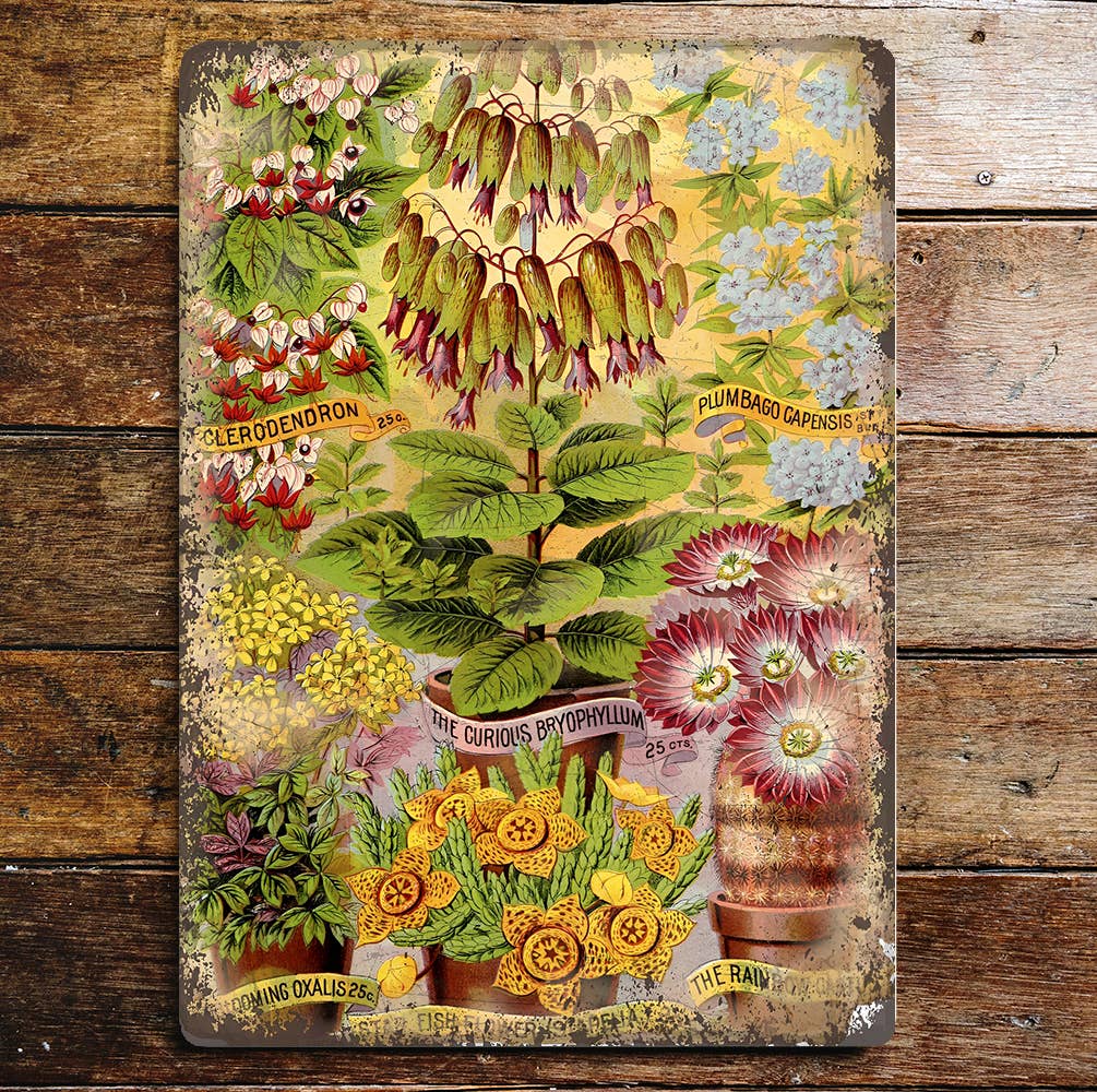 Maule's Seed Botanical Flower | Metal Wall Sign Plaque