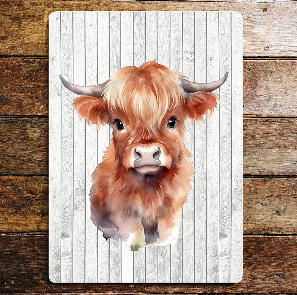 Highland calf Art | Metal Sign Plaque