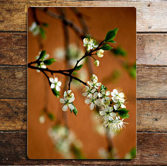 Apple blossom spring flower art | Metal Sign Plaque