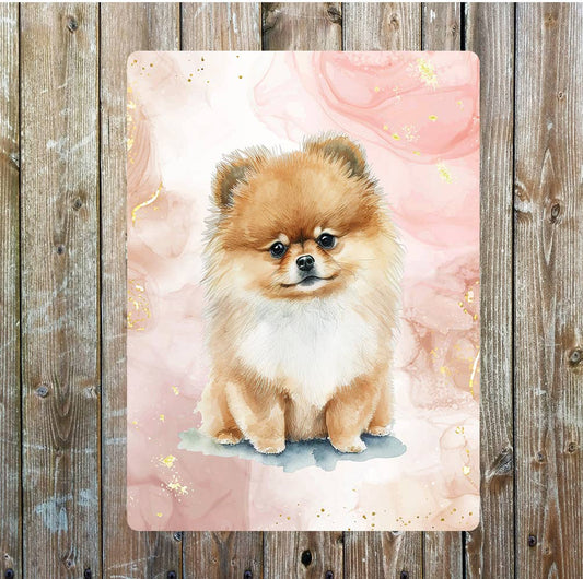 Cute Sitting Pomeranian Dog Portrait | Metal Sign Plaque