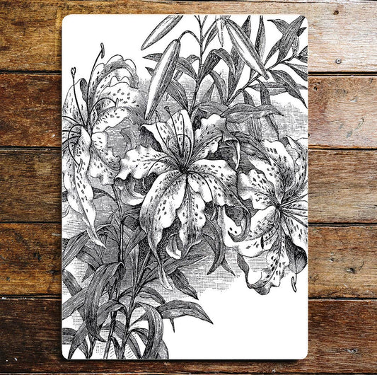 Lilies Stems Black White Flowers | Metal Wall Sign Plaque