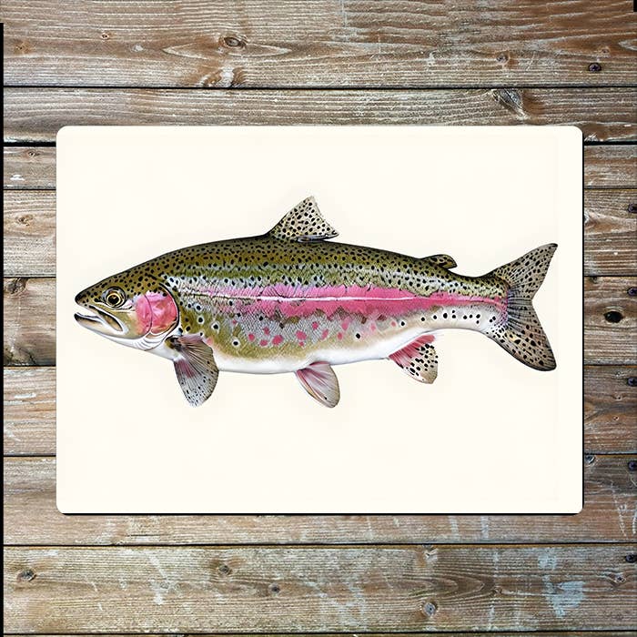 Illustration Of A Rainbow Trout Fish | Metal Sign Plaque