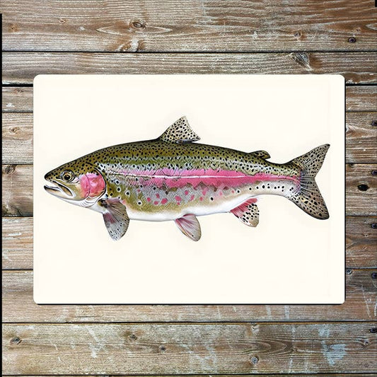 Illustration Of A Rainbow Trout Fish | Metal Sign Plaque