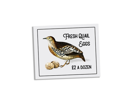 Fresh Quail Eggs Tin Sign | Metal Sign Plaque