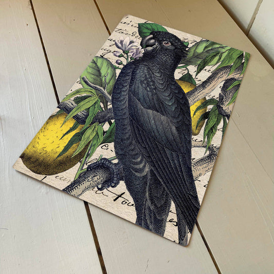 Black Parrot cockatoo Bird Tropical Plaque | Metal Wall Sign
