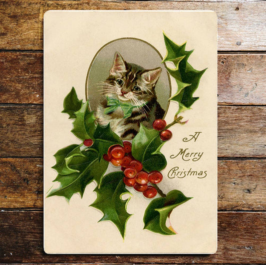 A Merry Christmas Cat Anad Holly | Metal Sign Plaque