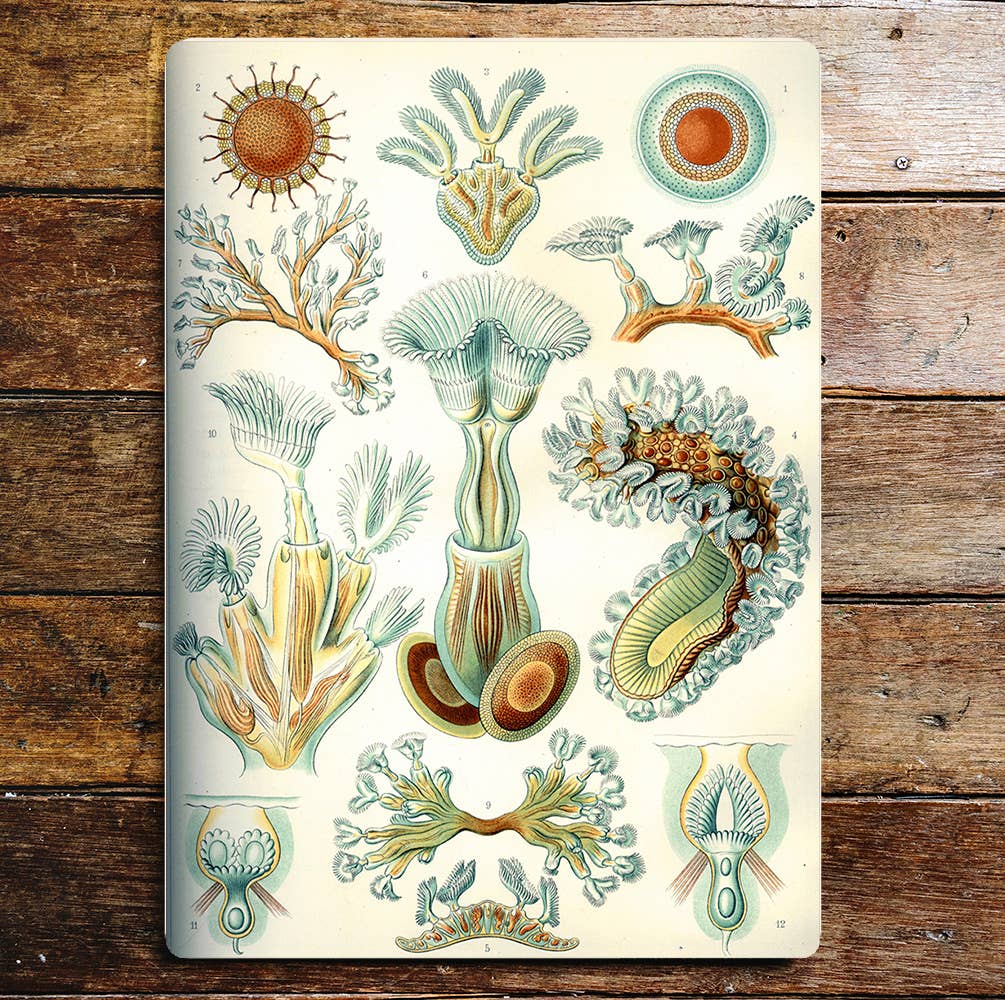 Sea Life Creatures Marine Metal Sign Plaque