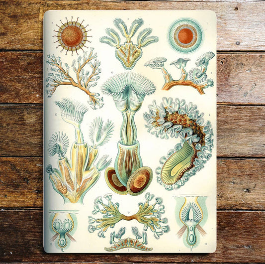 Sea Life Creatures Marine Metal Sign Plaque