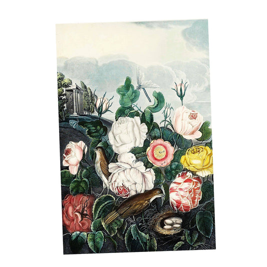 Roses Vintage Botanical Plants Metal Sign