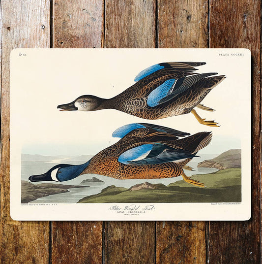 Blue Winged Ducks Flying Countryside | Metal Sign Plaque