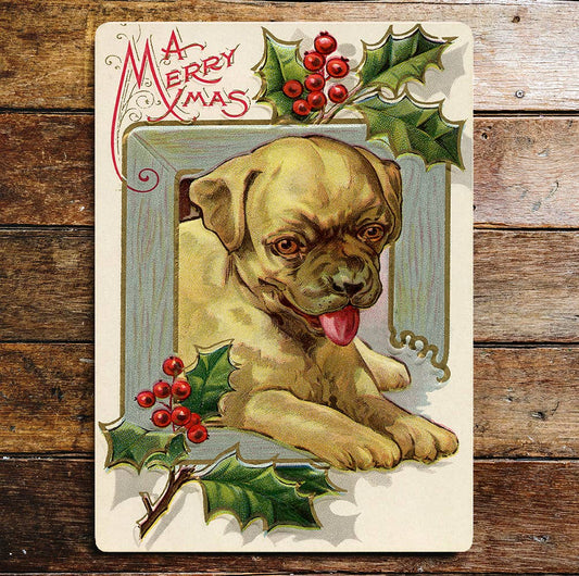 A Merry Christmas Dog Holly Cute | Metal Wall Sign Plaque