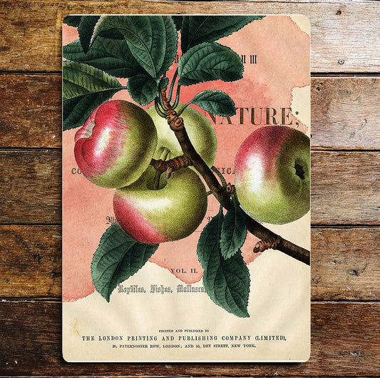Apples Twig Tree red And Green Kitchen | Metal Sign Plaque