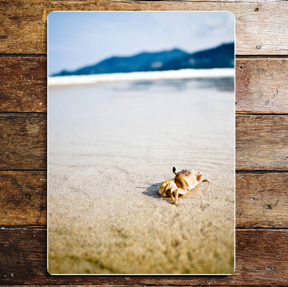 Beach sand crab art | Metal Wall Sign