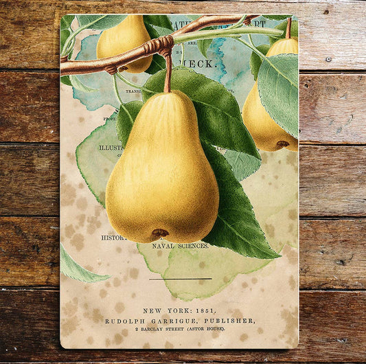 Yellow Pears Twig Tree Kitchen | Metal Sign Plaque