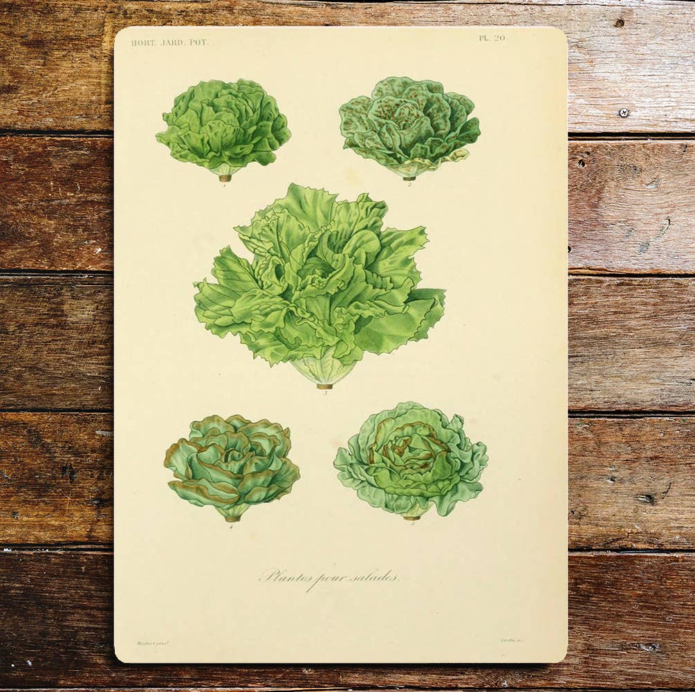 Kitchen Salad Vegetables Lettuces Sign Plaque