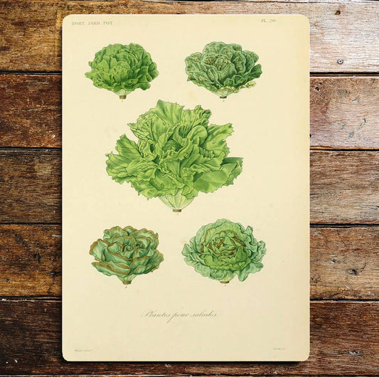 Kitchen Salad Vegetables Lettuces Sign Plaque