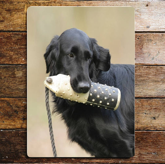 Black Retriever Dog With Toy | Metal Sign Plaque