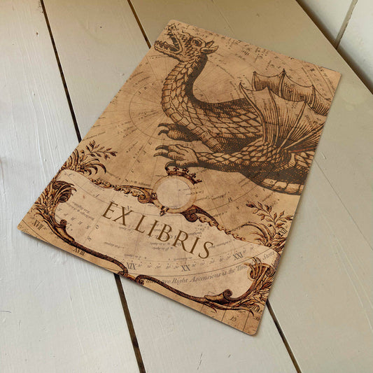 Mythical dragon | Metal Humour Wall Sign