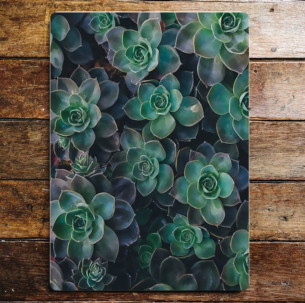 Cactus plants green lifestyle art | Metal Sign Plaque