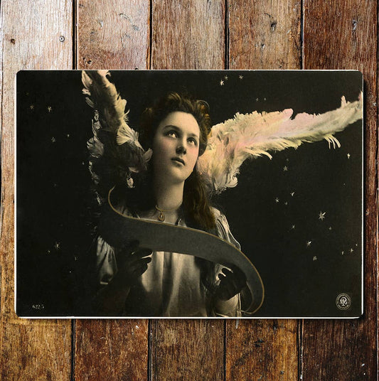 Angel Cherub Majestic Feather Wings | Metal Sign Plaque
