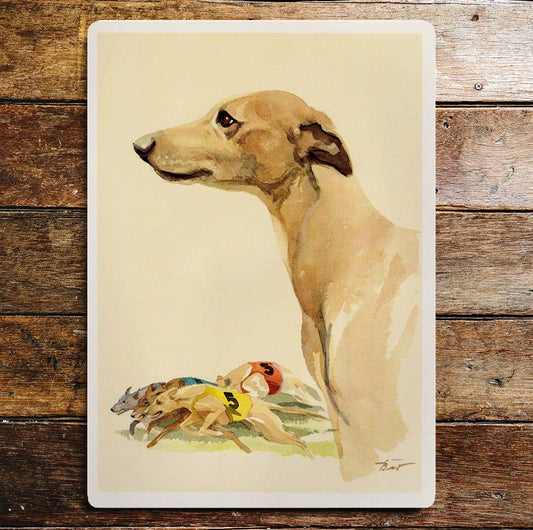 Whippet Dog Portrait Racing  | Metal Sign Plaque