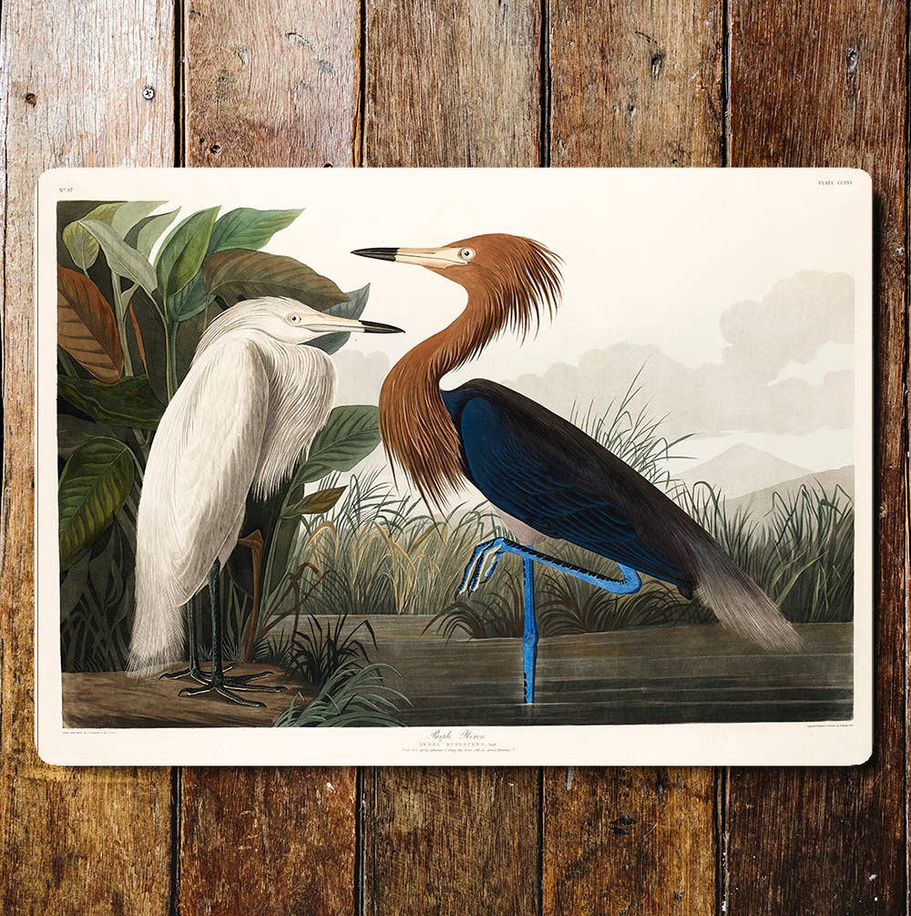 Heron Bird With Friend River Side | Metal Sign Plaque