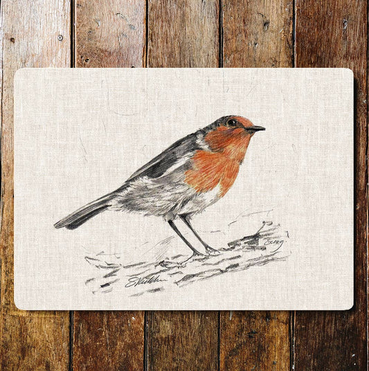 Robin bird nature wildlife art Metal Sign Plaque